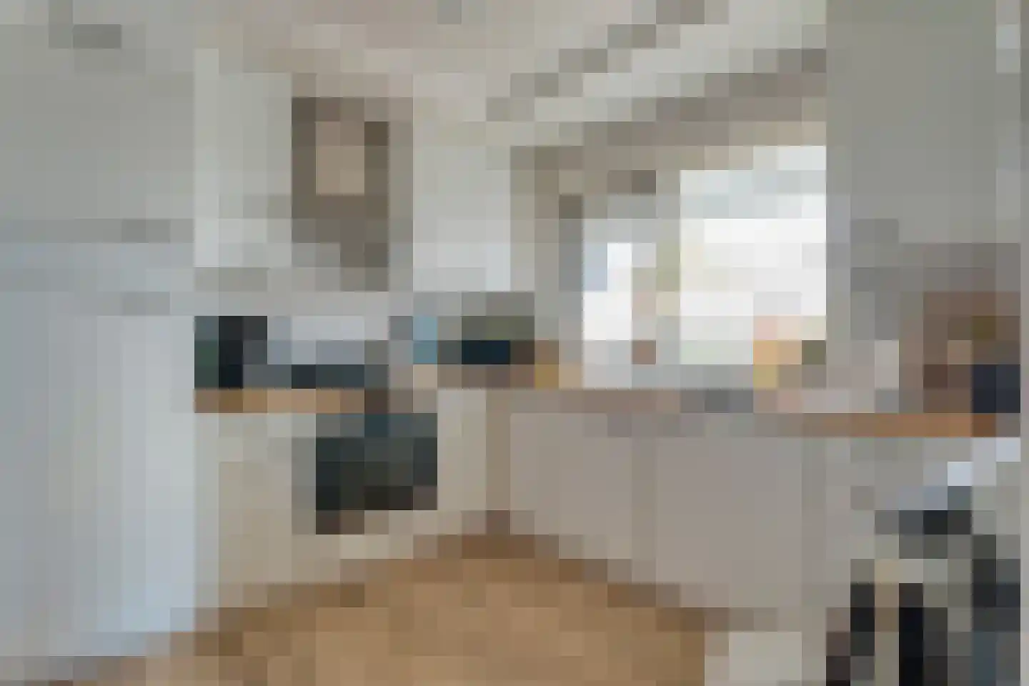 van Laerstraat 4 Ommen thumbnail 29