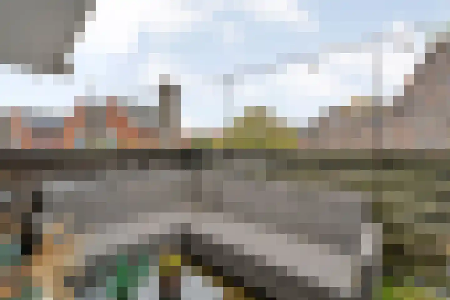 van Laerstraat 4 Ommen thumbnail 32