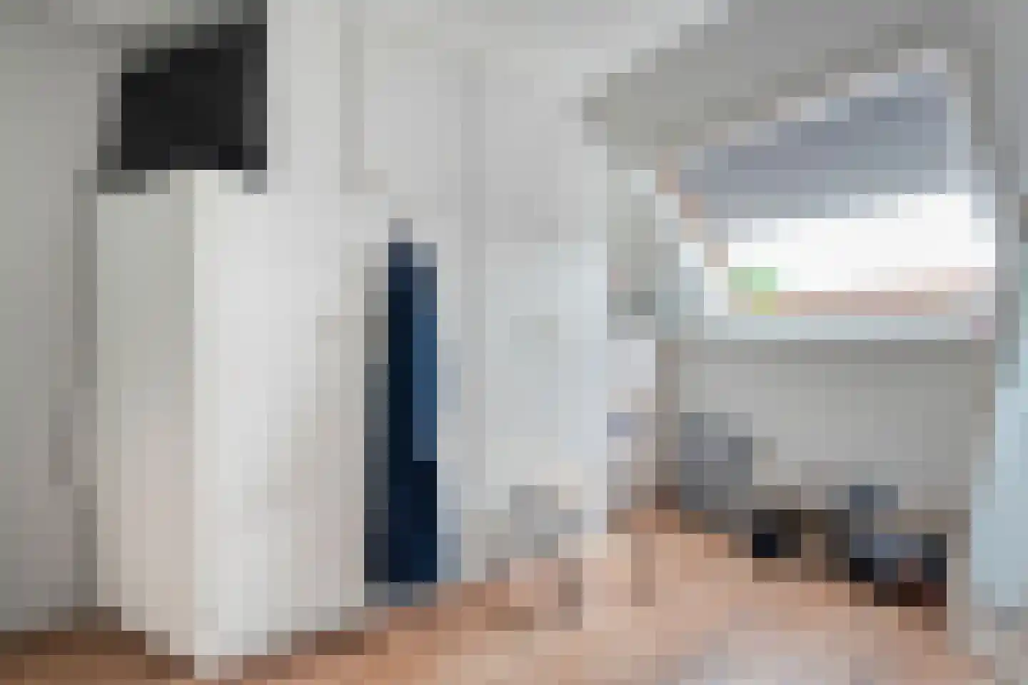 van Laerstraat 4 Ommen thumbnail 35