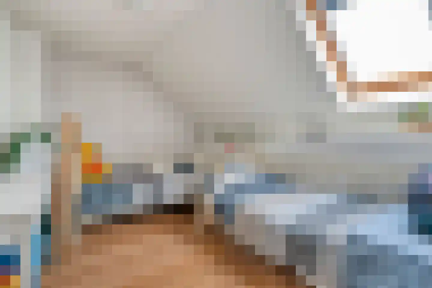 van Laerstraat 4 Ommen thumbnail 35