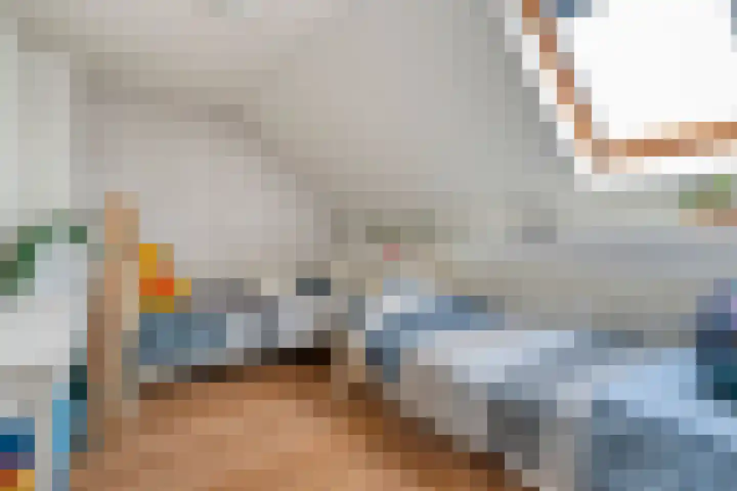 van Laerstraat 4 Ommen thumbnail 36