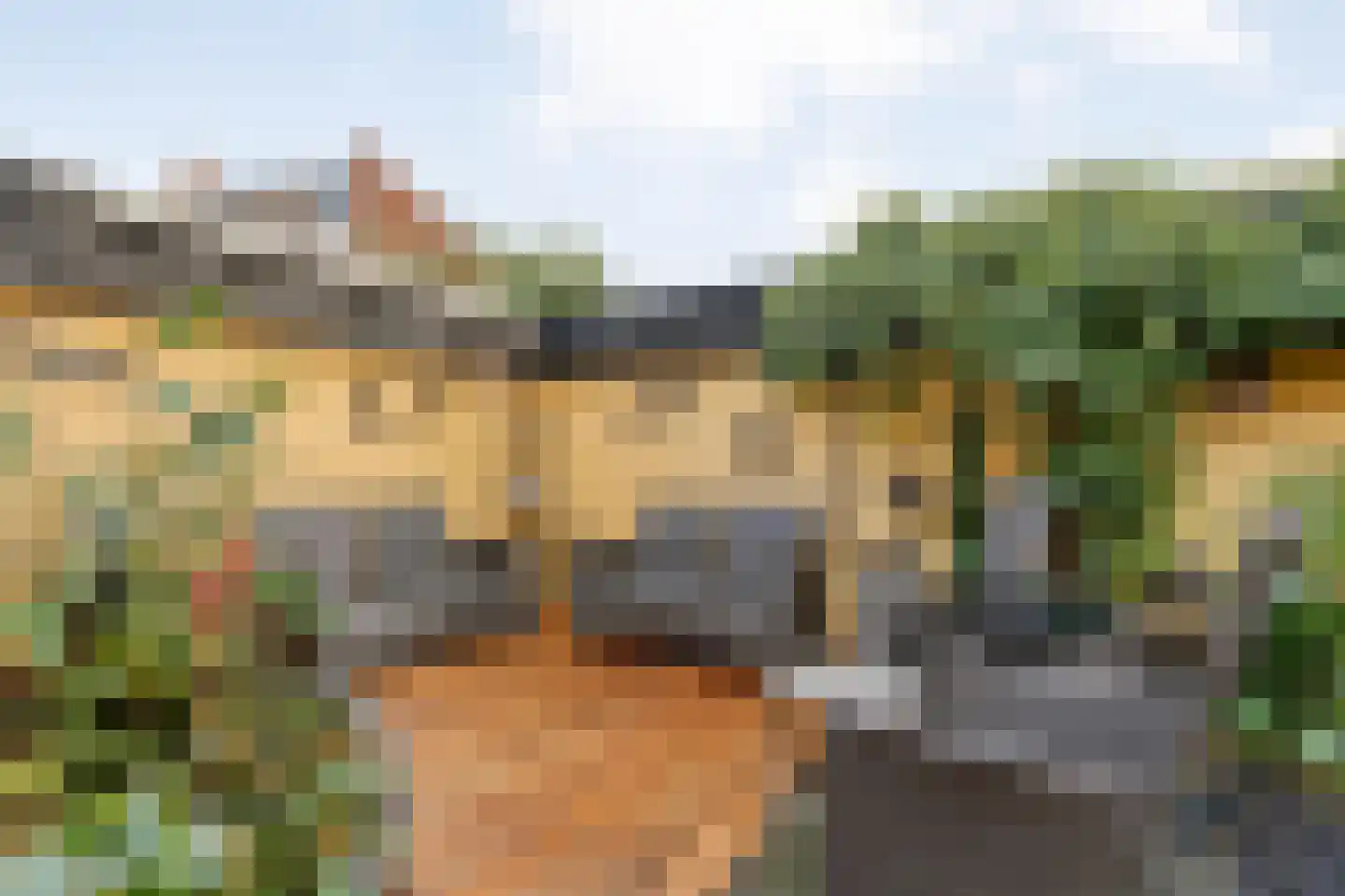 van Laerstraat 4 Ommen thumbnail 40