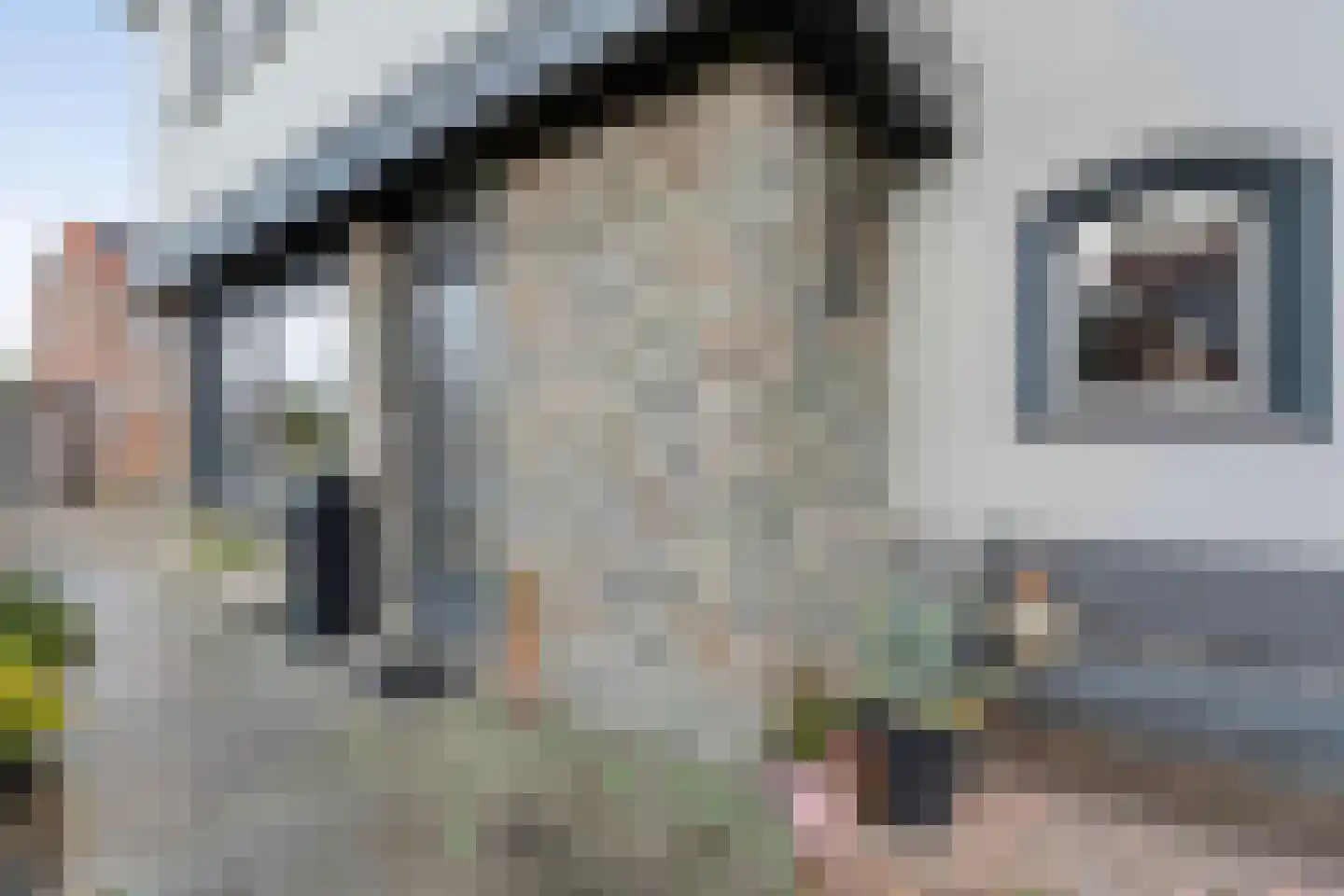 van Laerstraat 4 Ommen thumbnail 44