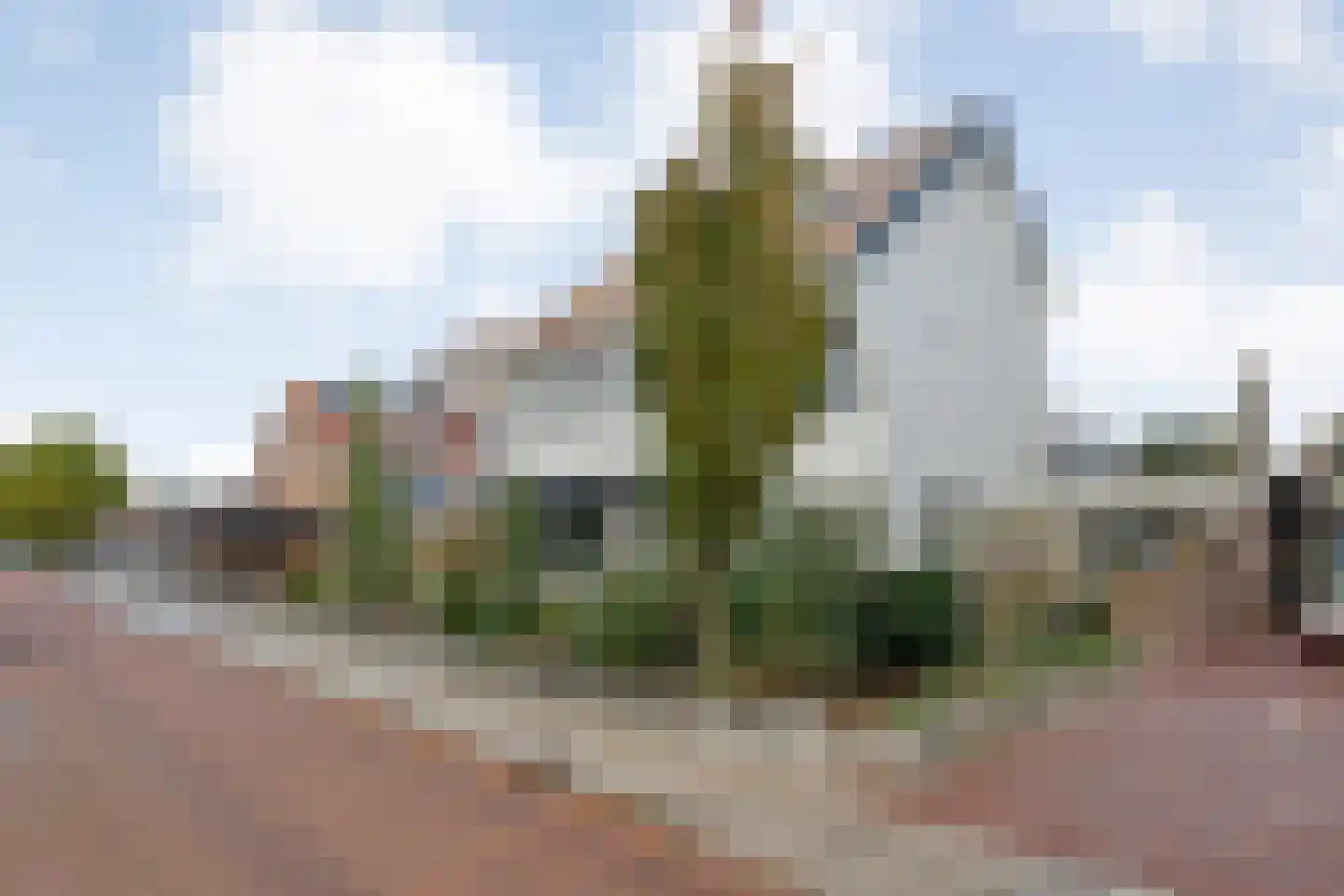 van Laerstraat 4 Ommen thumbnail 47