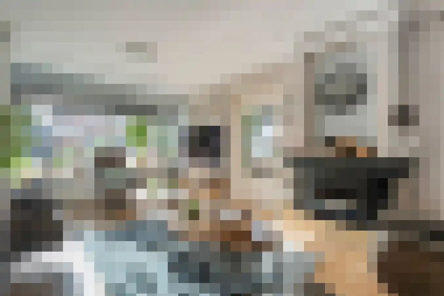 van Laerstraat 4 Ommen thumbnail 7