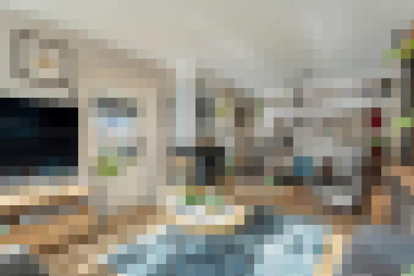 van Laerstraat 4 Ommen thumbnail 8