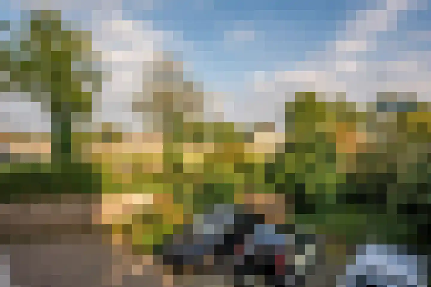 van Laerstraat 48 Venlo thumbnail 14