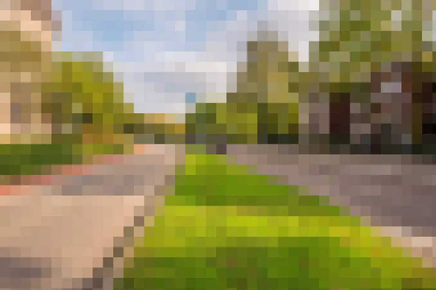 van Laerstraat 48 Venlo thumbnail 26
