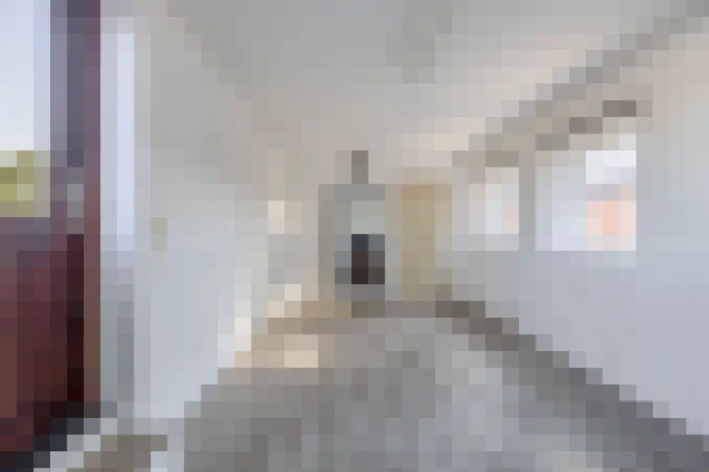 van Laerstraat 9 Venlo thumbnail 18