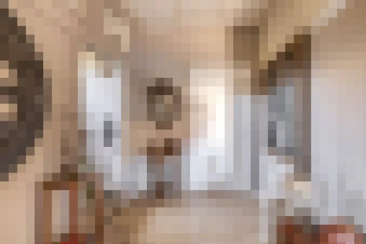 van Laerstraat 9 Venlo thumbnail 20