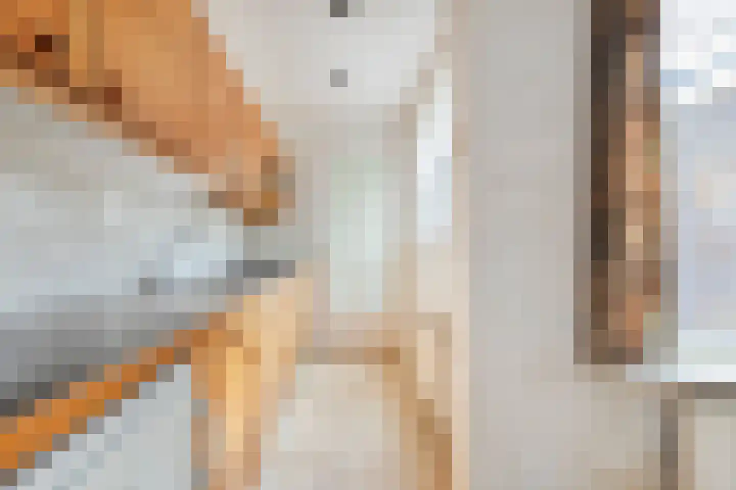Van Laersweg 13 Zwolle thumbnail 14