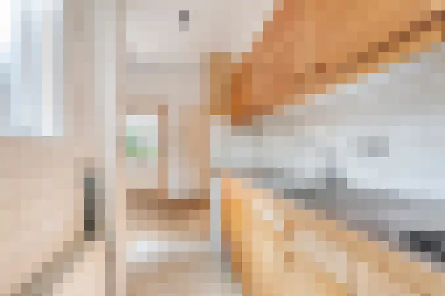 Van Laersweg 13 Zwolle thumbnail 16