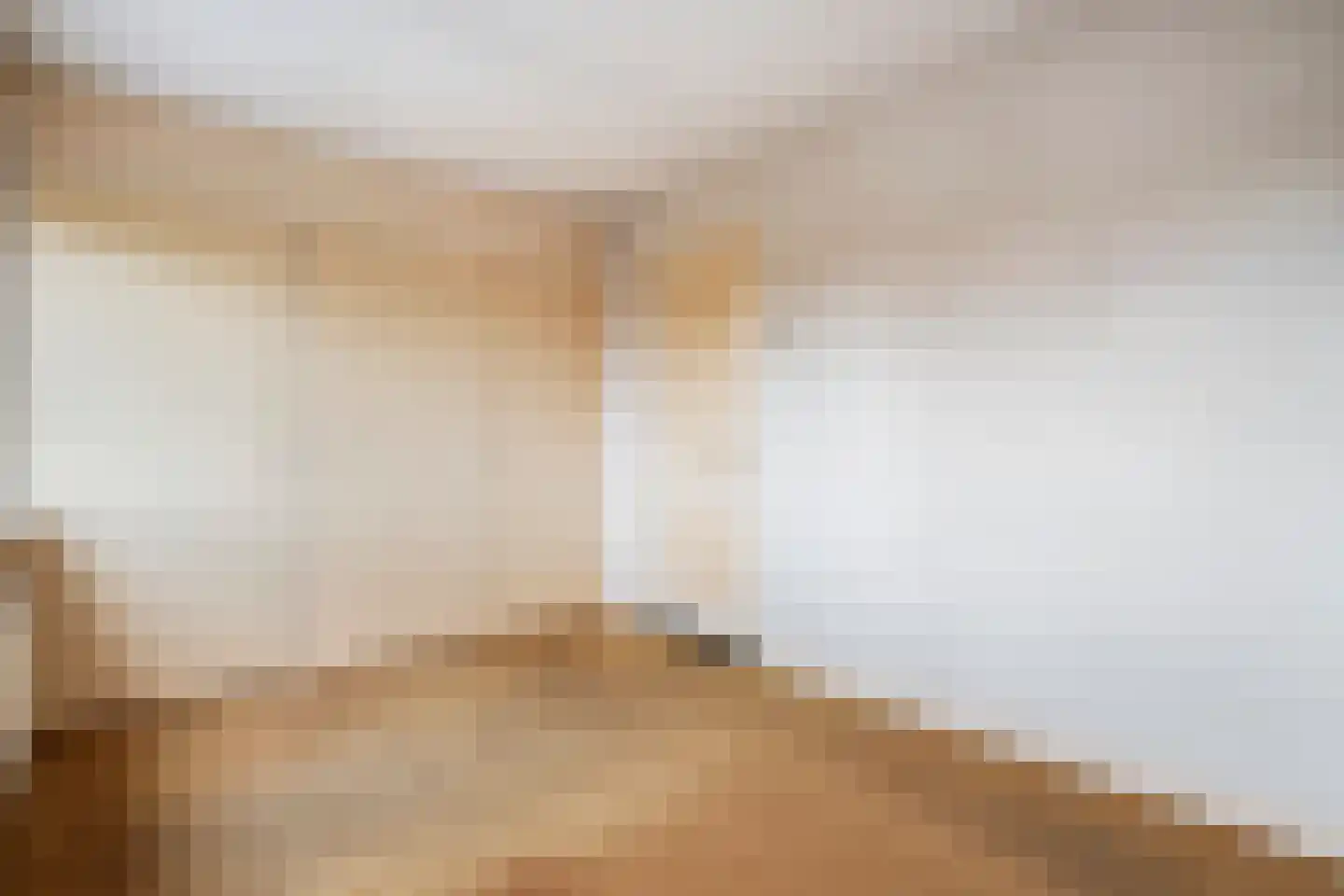 Van Laersweg 13 Zwolle thumbnail 27