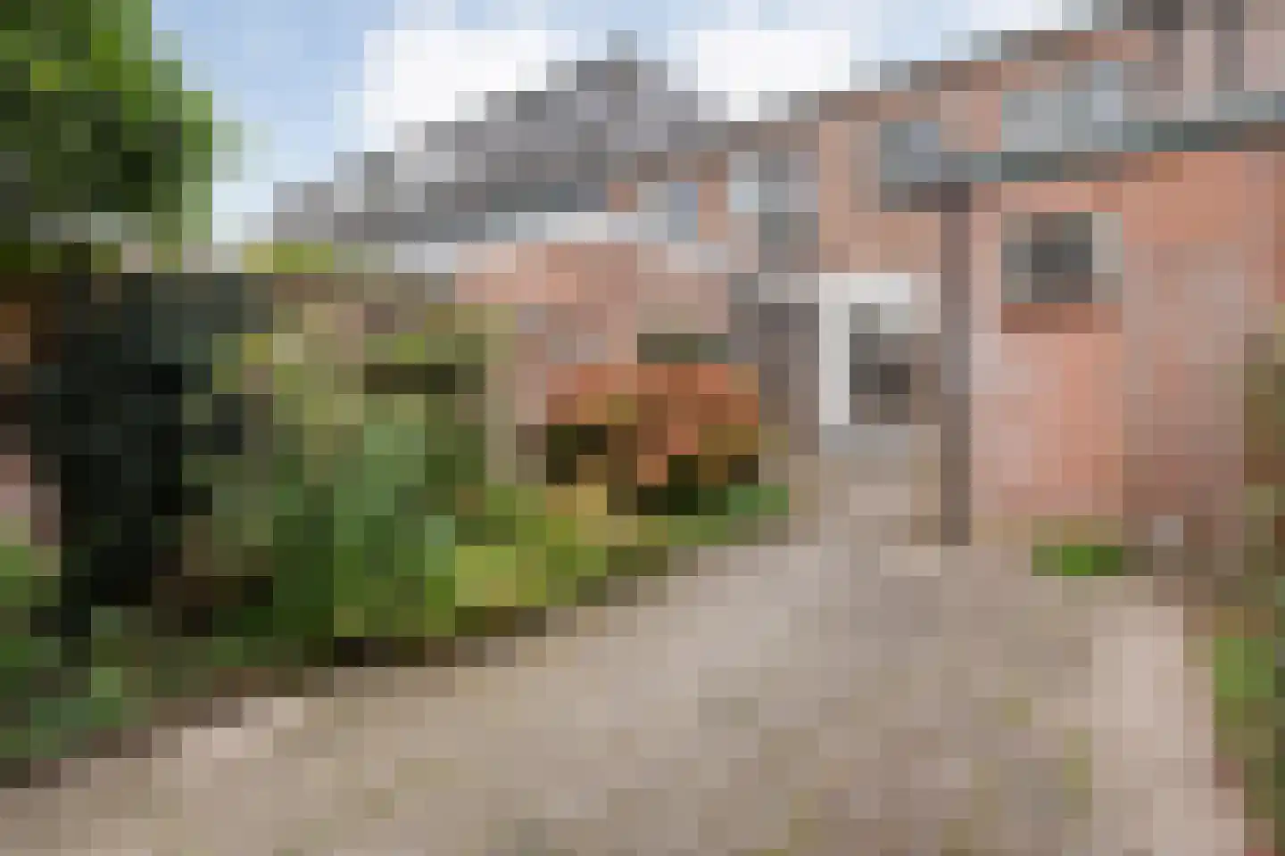 Van Laersweg 13 Zwolle thumbnail 37