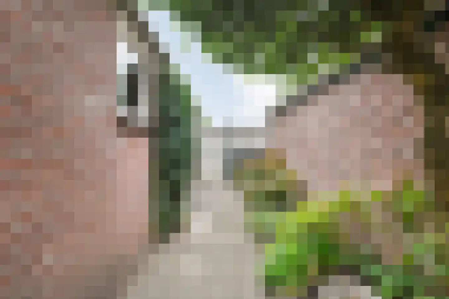 Van Laersweg 13 Zwolle thumbnail 39