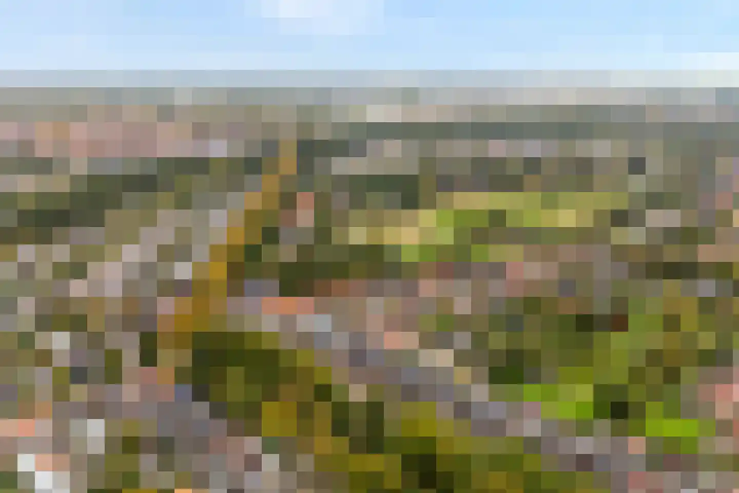 Van Laersweg 13 Zwolle thumbnail 47