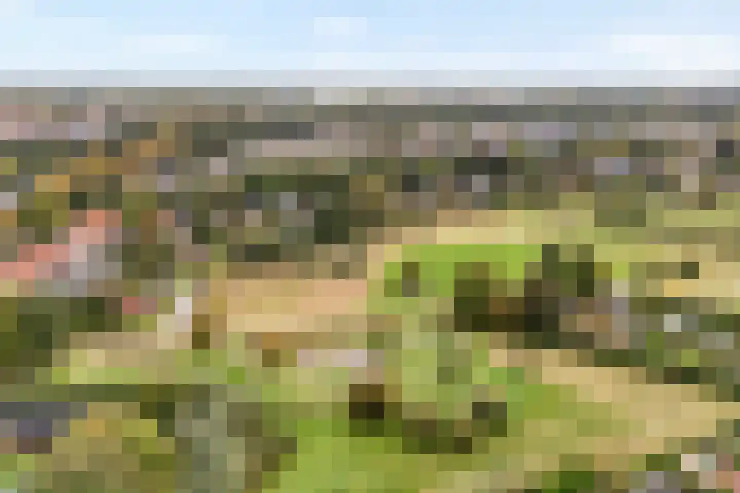 Van Laersweg 13 Zwolle thumbnail 48
