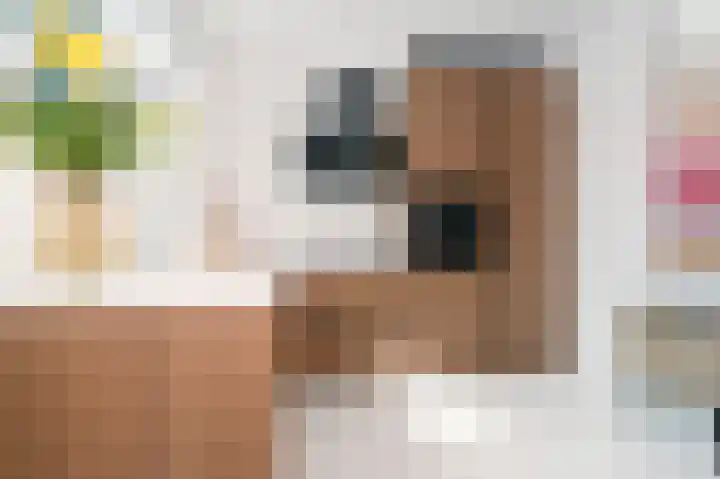 Van Laersweg 26 Zwolle thumbnail 13