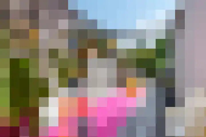 Van Laersweg 26 Zwolle thumbnail 18