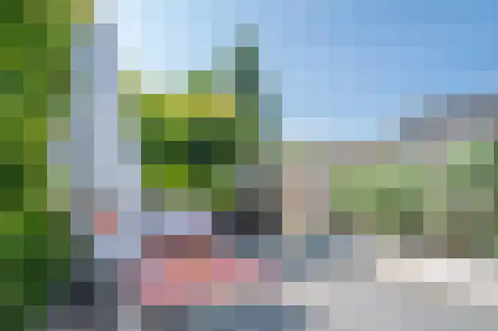 Van Laersweg 26 Zwolle thumbnail 20