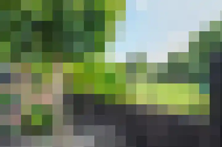 Van Laersweg 26 Zwolle thumbnail 22