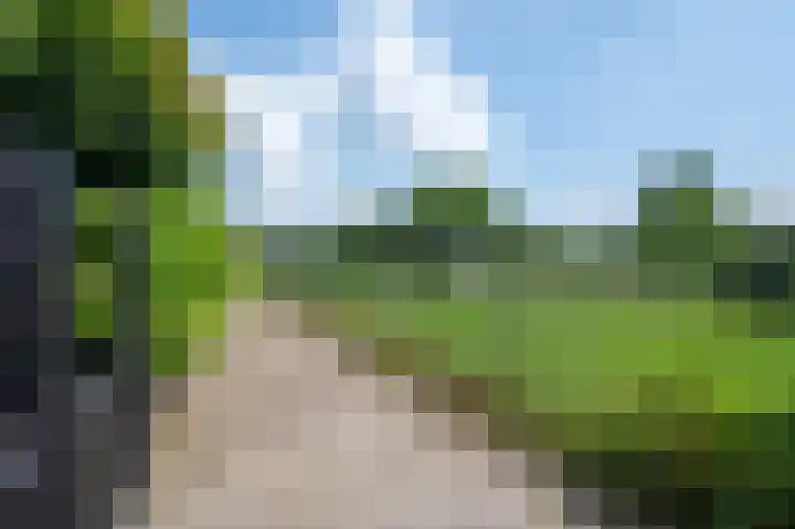 Van Laersweg 26 Zwolle thumbnail 23