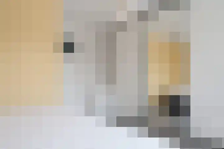 Van Laersweg 26 Zwolle thumbnail 30