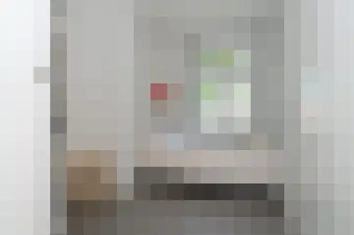 Van Laersweg 26 Zwolle thumbnail 32