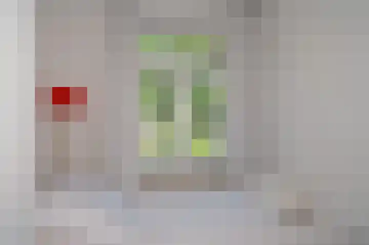 Van Laersweg 26 Zwolle thumbnail 33