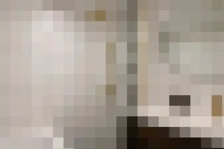 Van Laersweg 26 Zwolle thumbnail 39