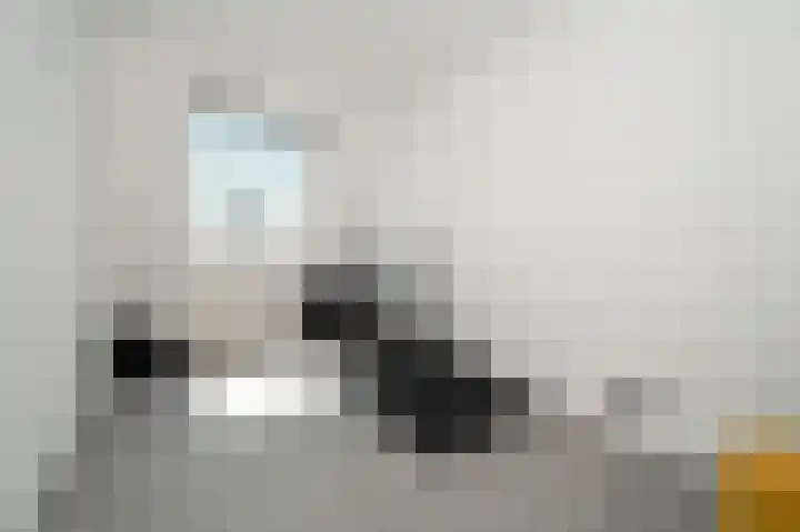 Van Laersweg 26 Zwolle thumbnail 41