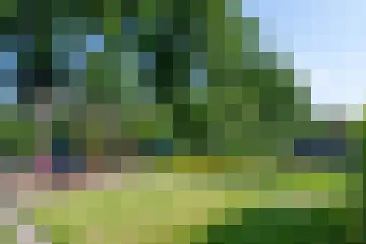 Van Laersweg 26 Zwolle thumbnail 53