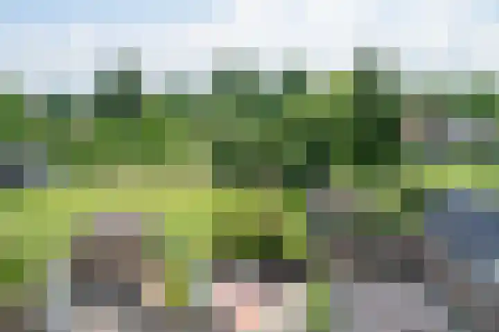 Van Laersweg 26 Zwolle thumbnail 55