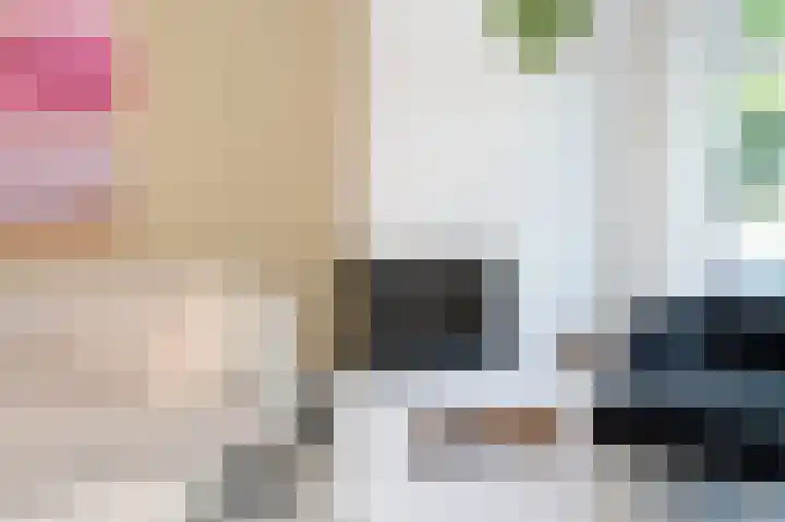 Van Laersweg 26 Zwolle thumbnail 7