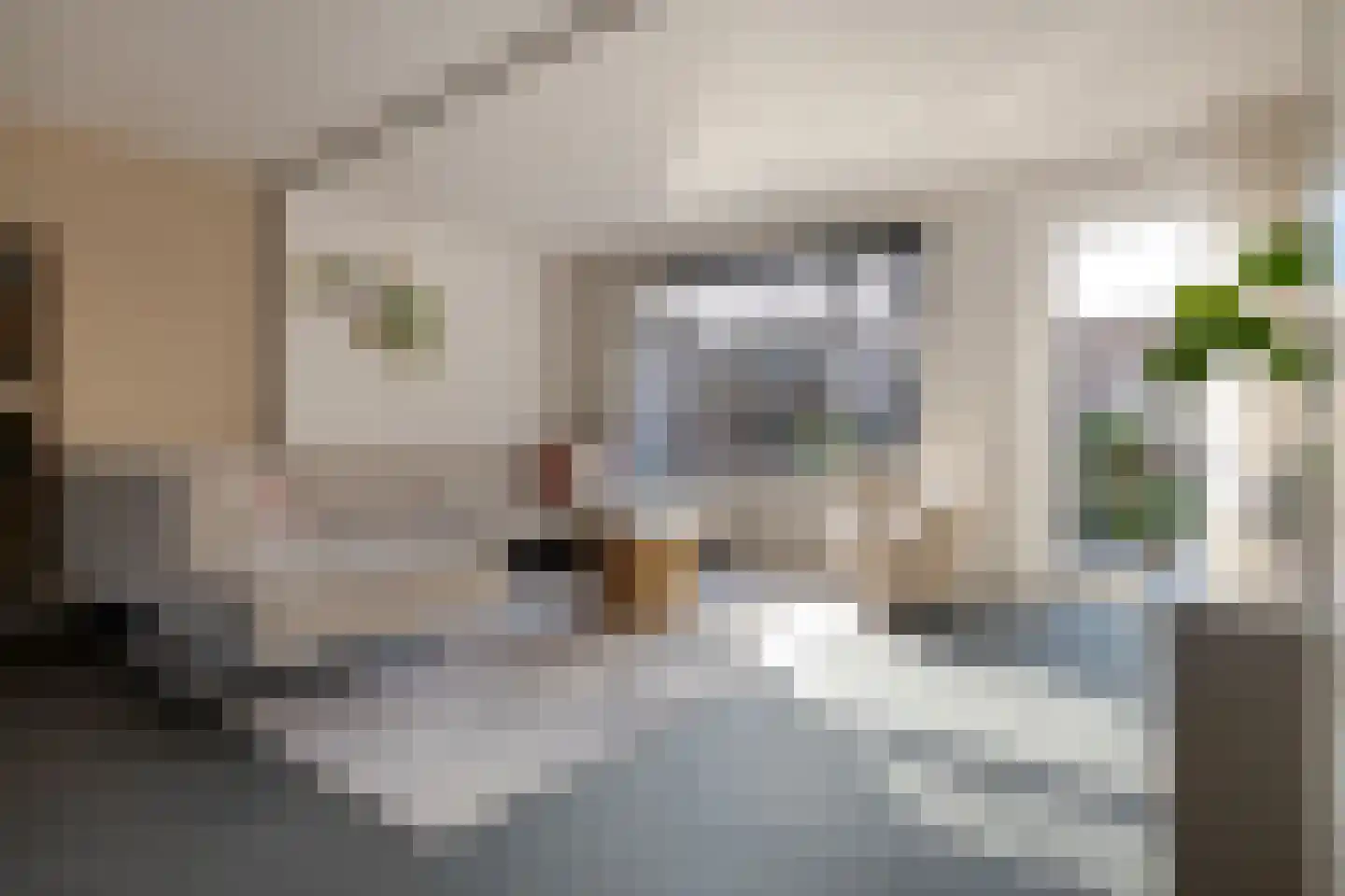 Van Langelomarke 3 Zwolle thumbnail 12