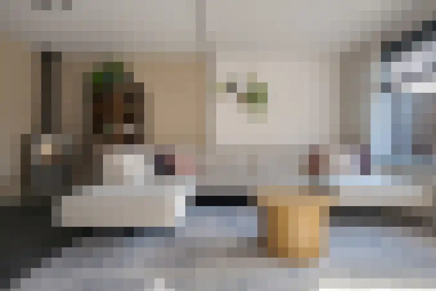 Van Langelomarke 3 Zwolle thumbnail 13