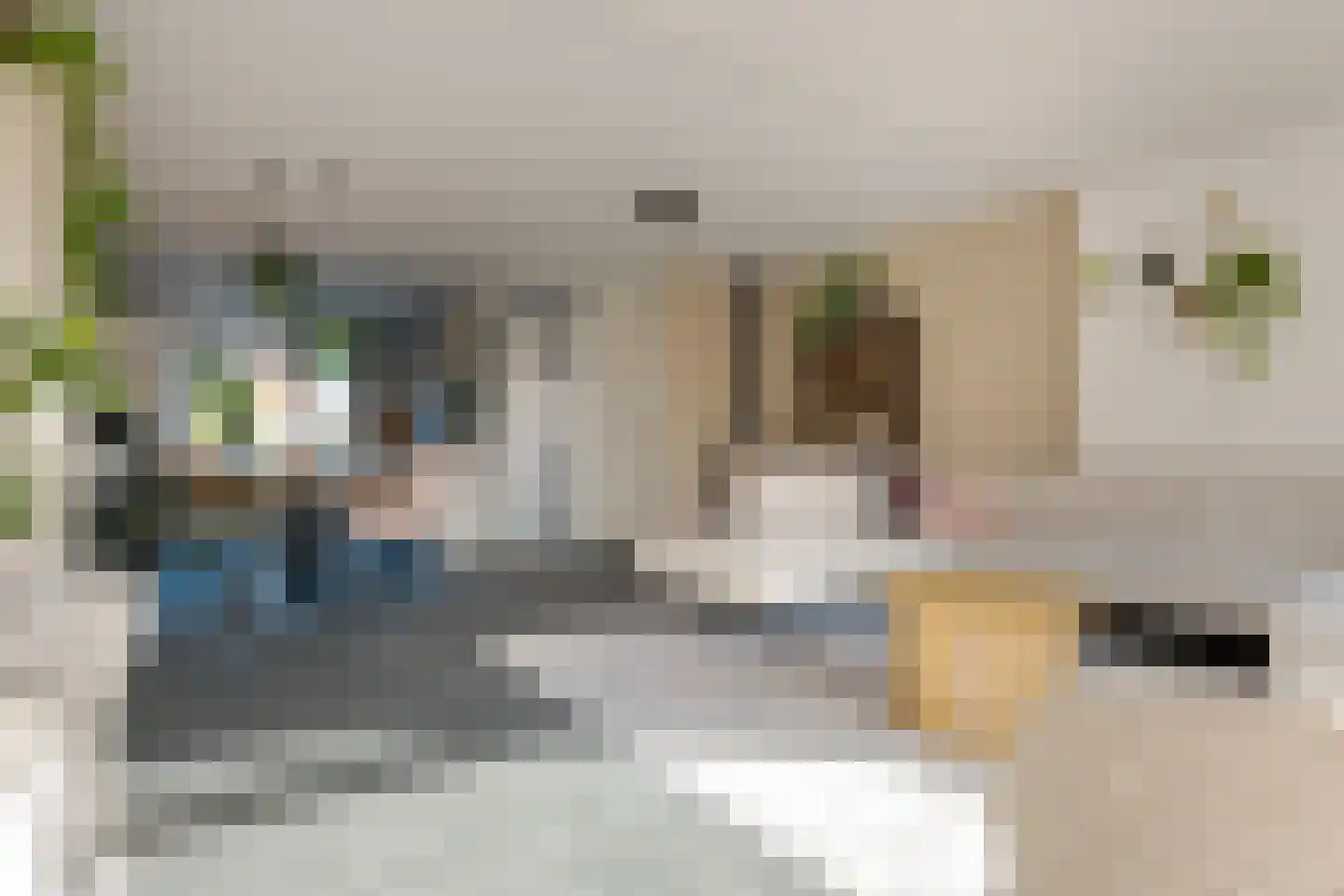 Van Langelomarke 3 Zwolle thumbnail 14