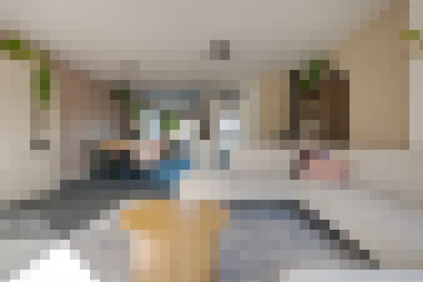 Van Langelomarke 3 Zwolle thumbnail 15