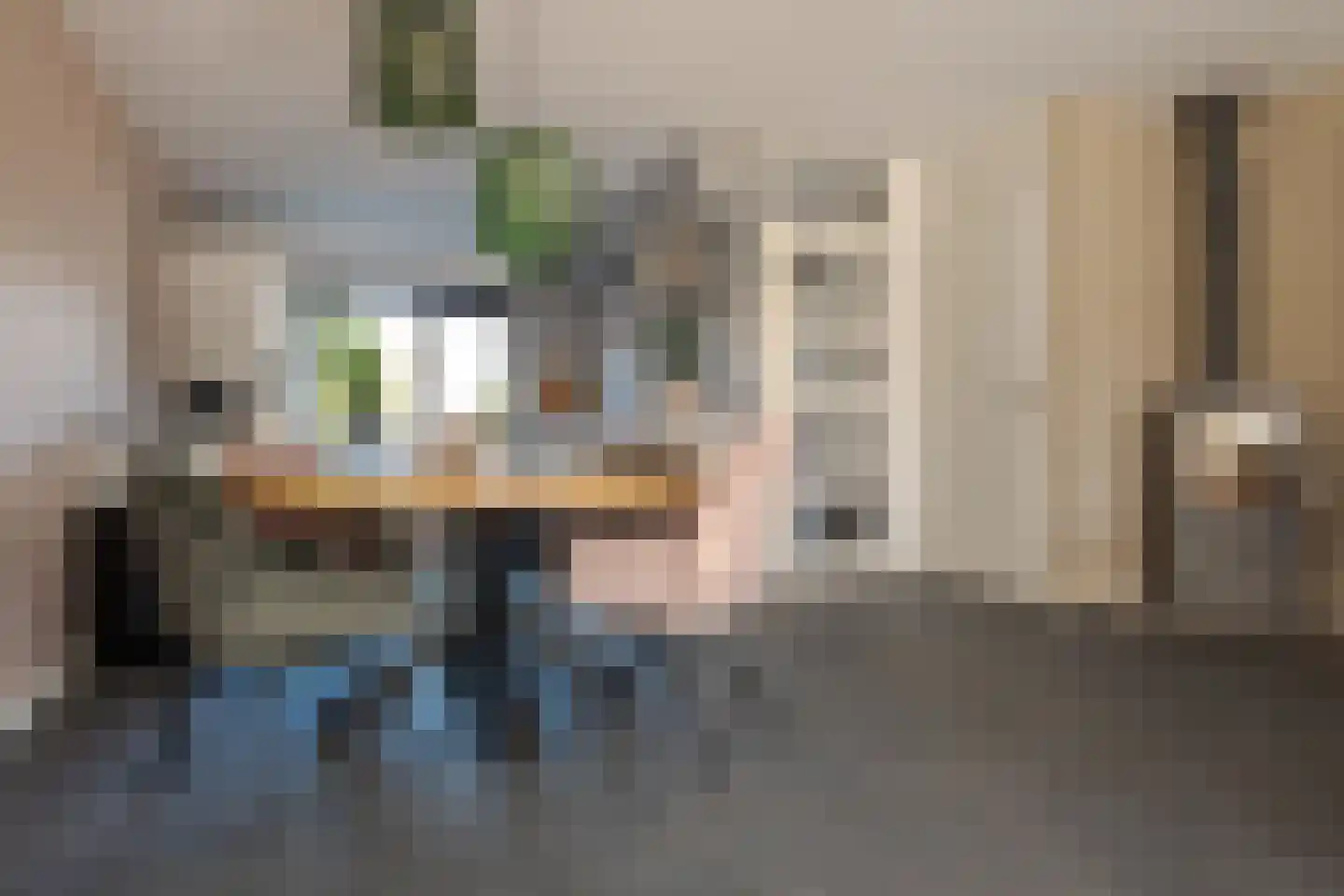 Van Langelomarke 3 Zwolle thumbnail 16