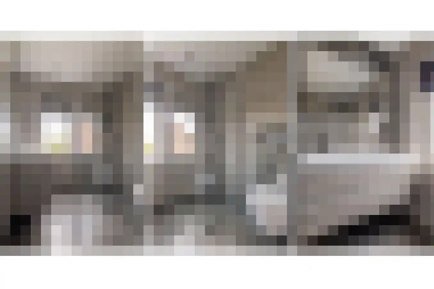Van Langelomarke 3 Zwolle thumbnail 36