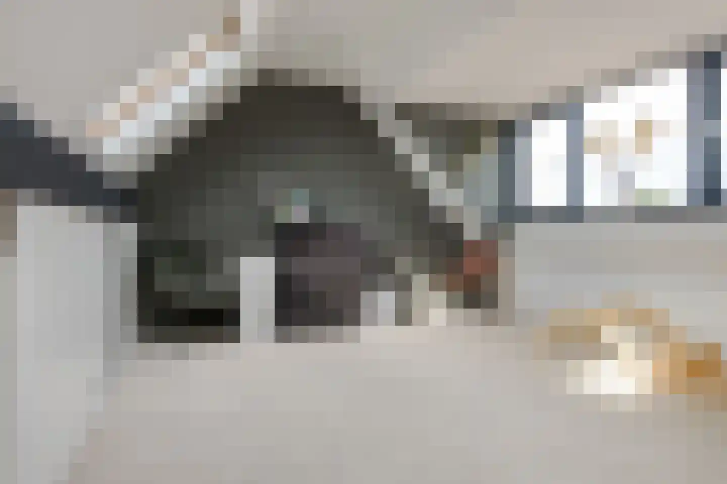 Van Langelomarke 3 Zwolle thumbnail 37
