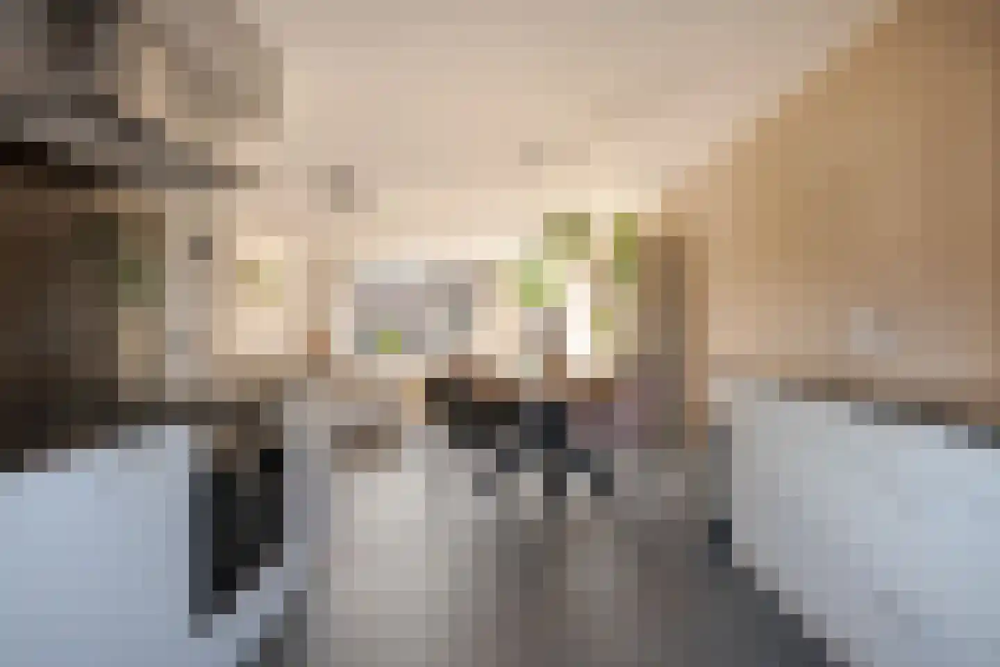 Van Langelomarke 3 Zwolle thumbnail 4