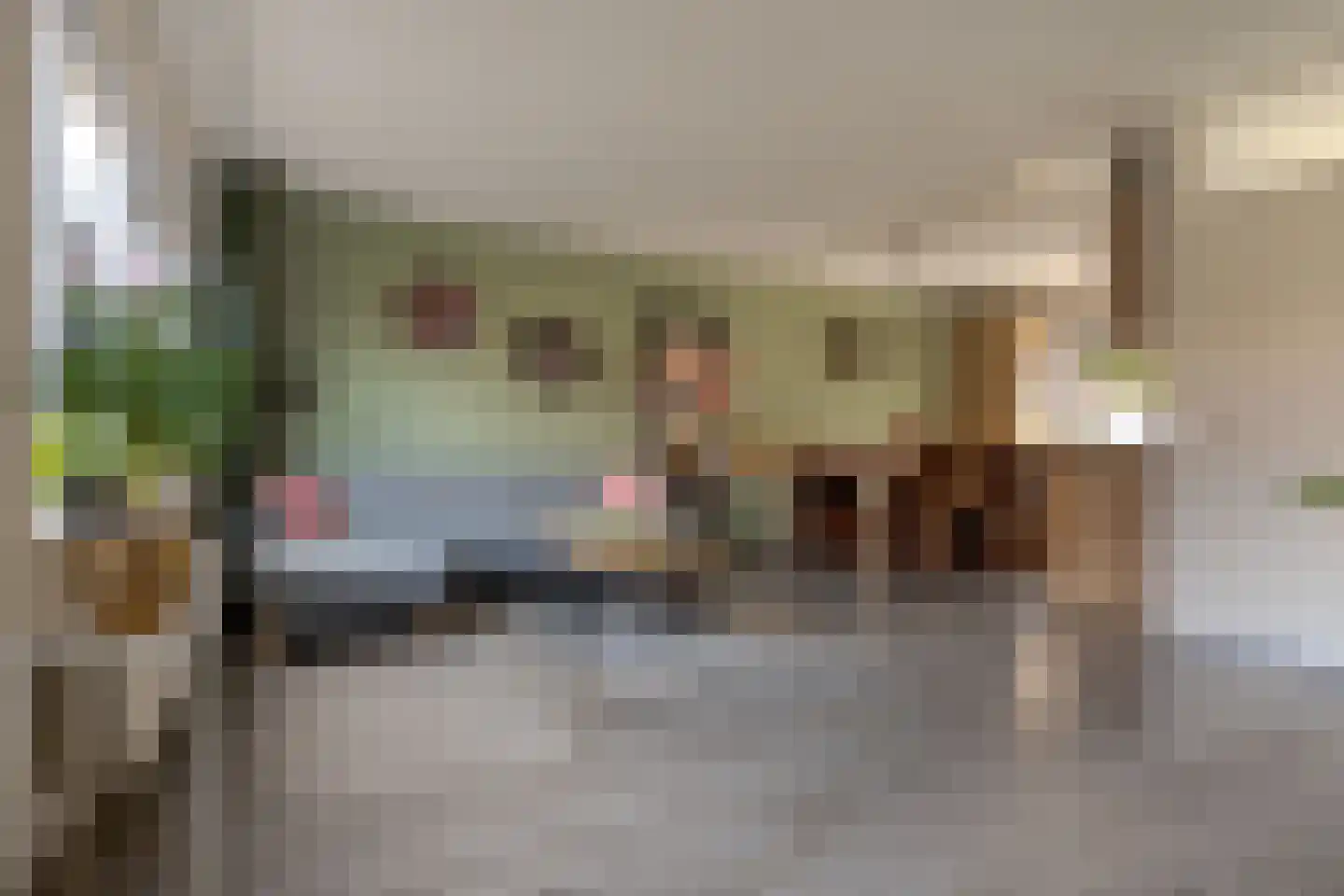Van Langelomarke 4 Zwolle thumbnail 12