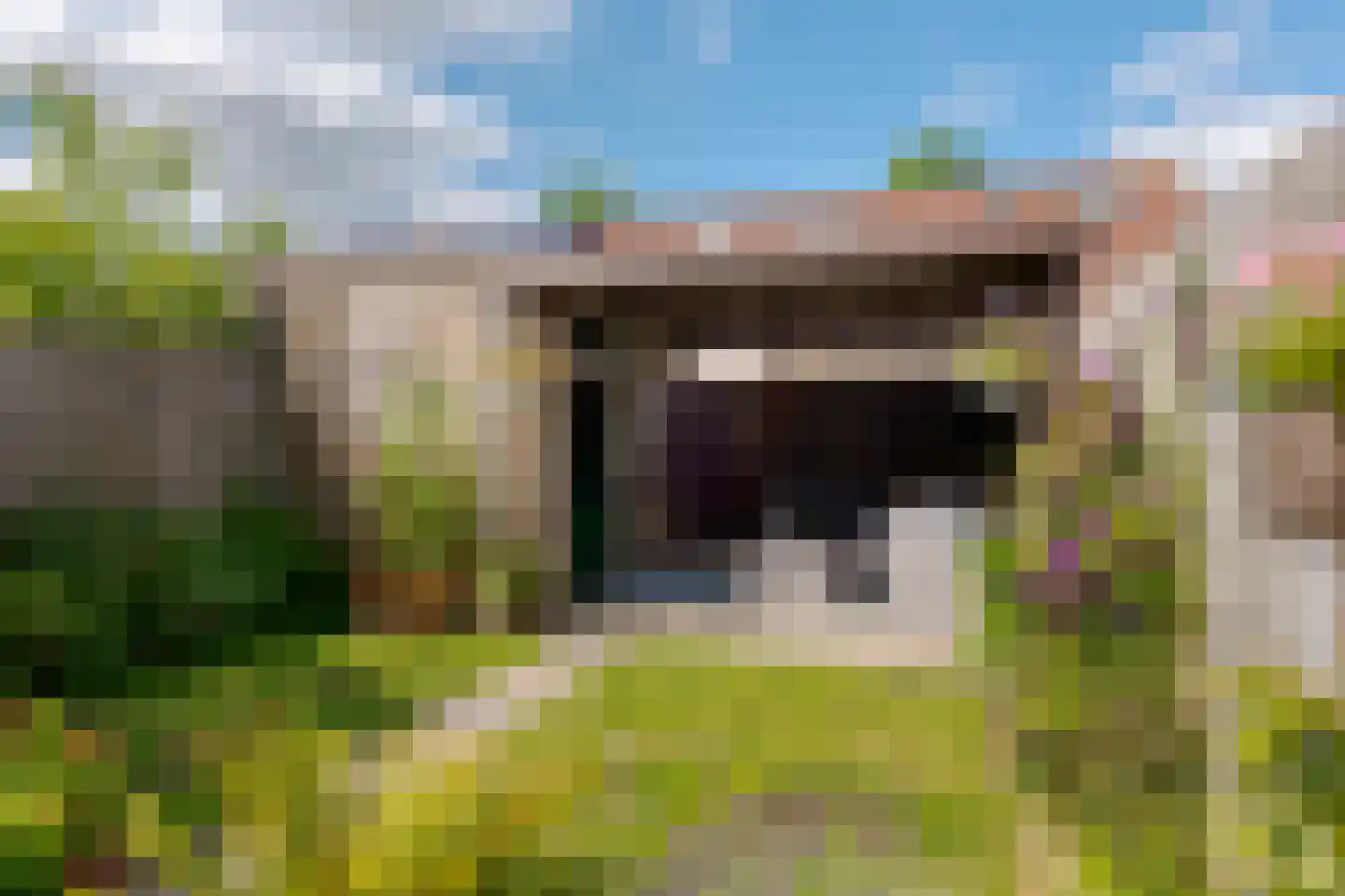 Van Langelomarke 4 Zwolle thumbnail 22