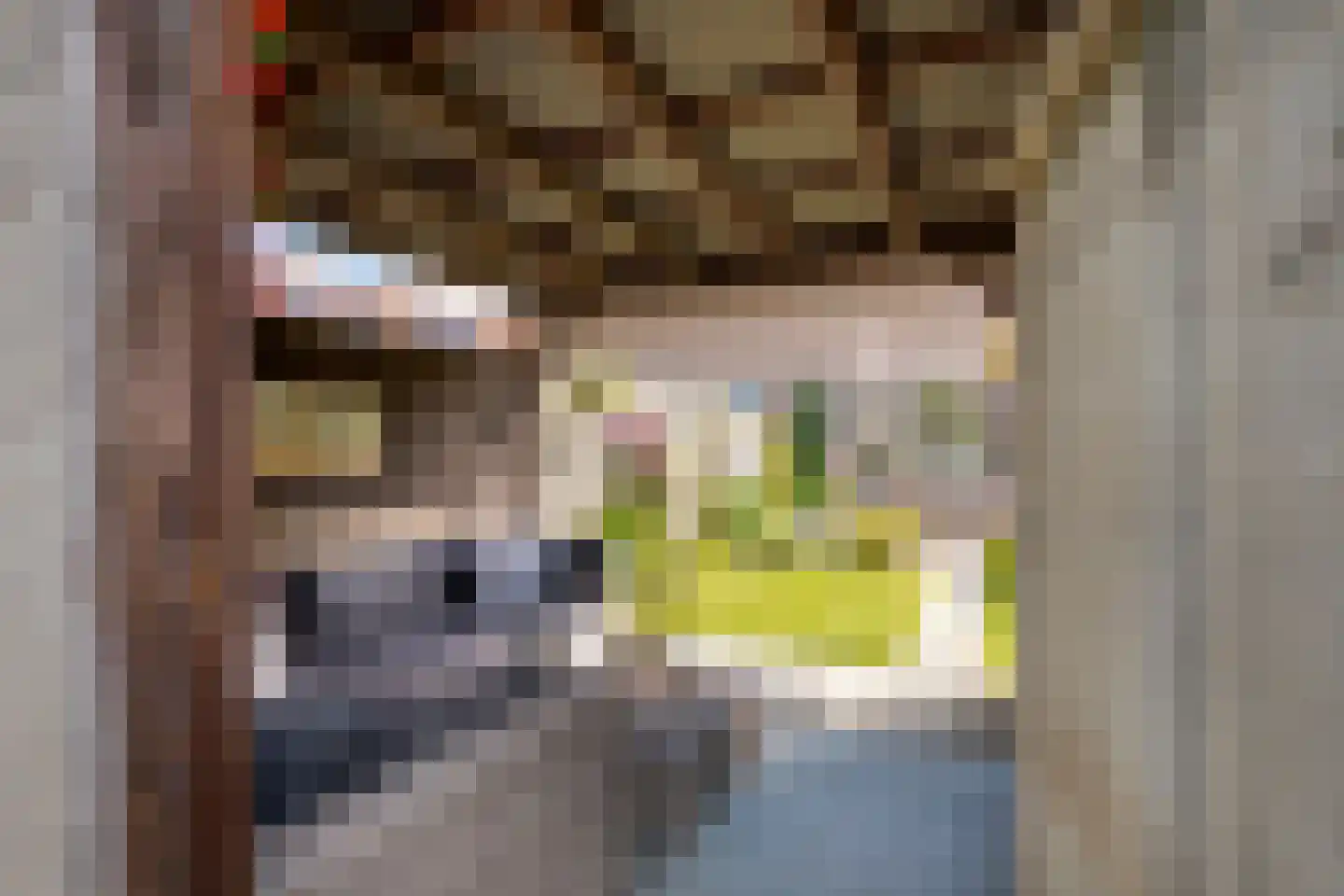 Van Langelomarke 4 Zwolle thumbnail 24
