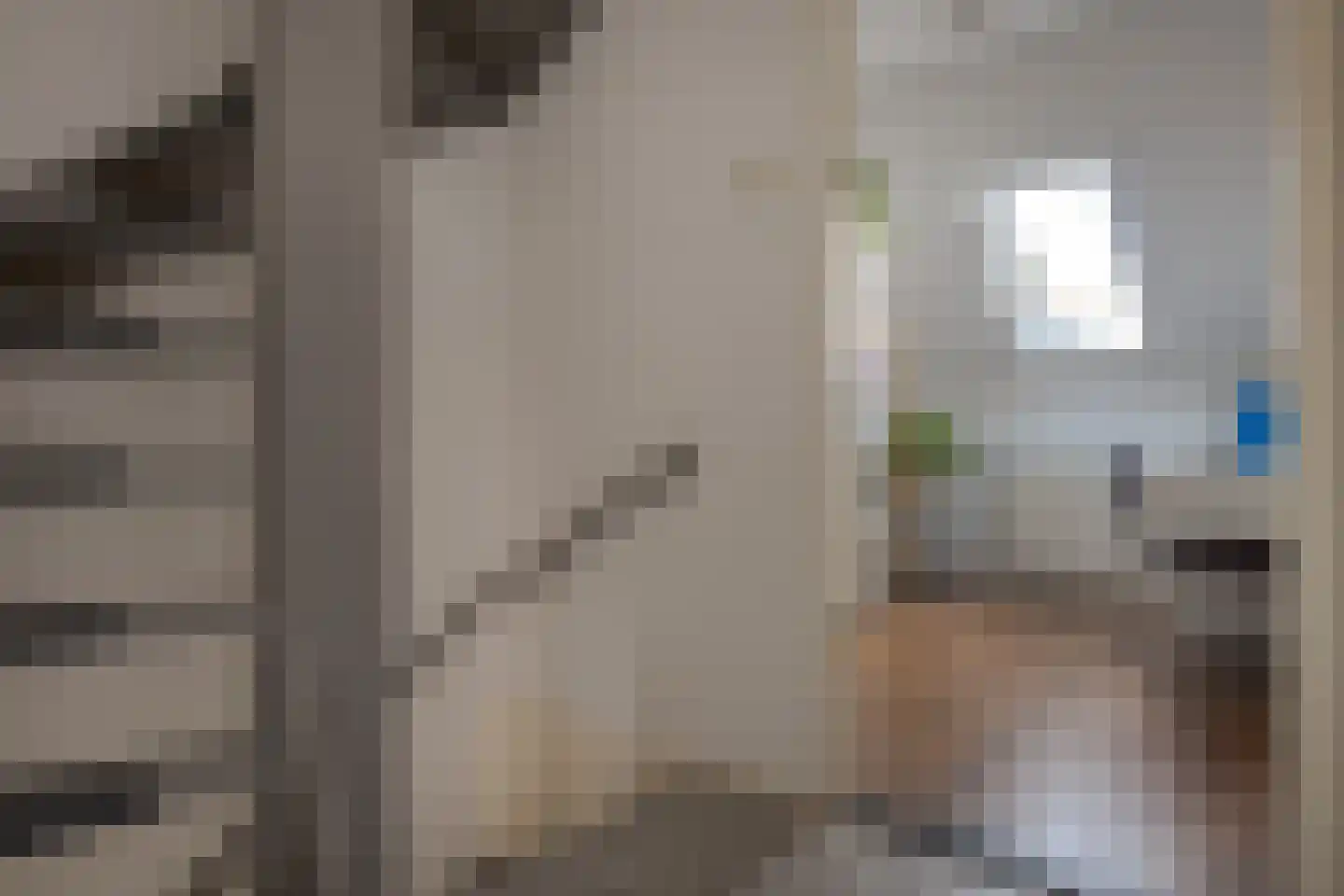 Van Langelomarke 4 Zwolle thumbnail 27
