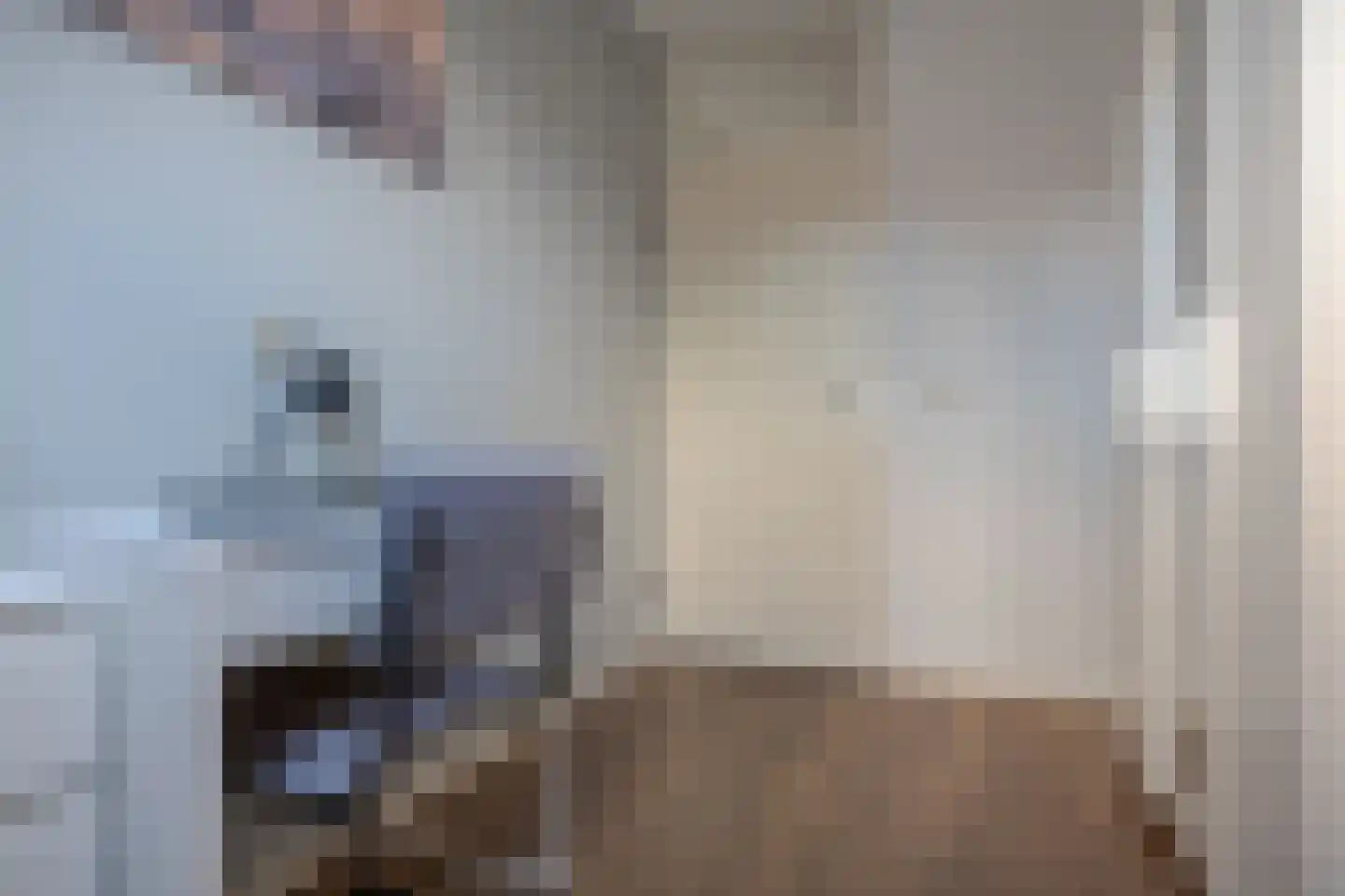 Van Langelomarke 4 Zwolle thumbnail 30