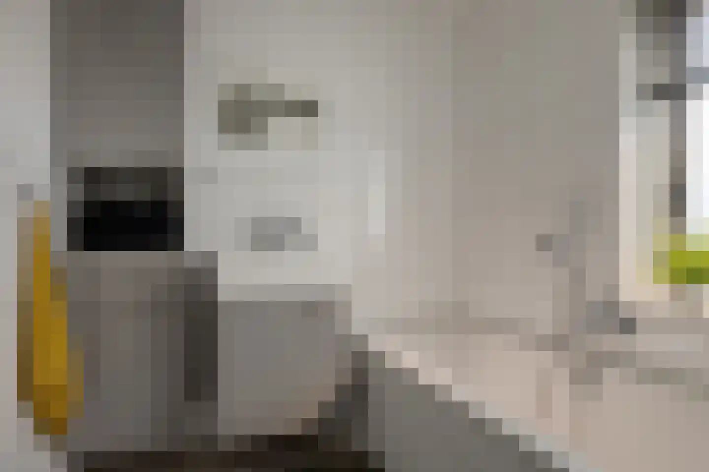 Van Langelomarke 4 Zwolle thumbnail 39