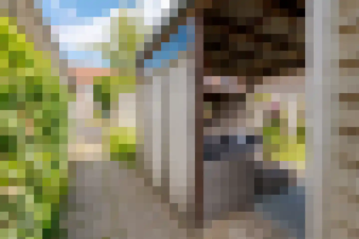Van Langelomarke 4 Zwolle thumbnail 44