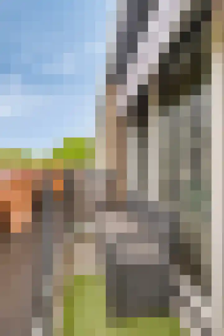 Van Langendonckstraat 100 Rotterdam thumbnail 15